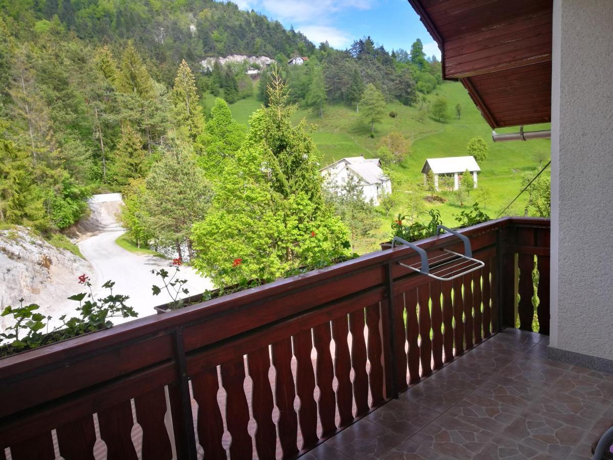 Apartma Teloh Kopacnica Exterior foto