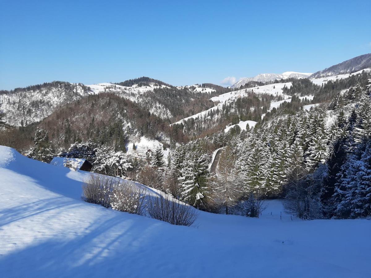 Apartma Teloh Kopacnica Exterior foto